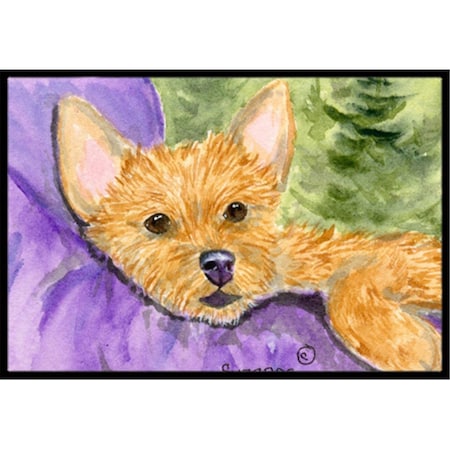 Carolines Treasures Norwich Terrier Indoor Outdoor Mat - 18 x 27 in. SS8898MAT